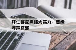 问鼎娱乐官网-拜仁慕尼黑强大实力，晋级呼声高涨